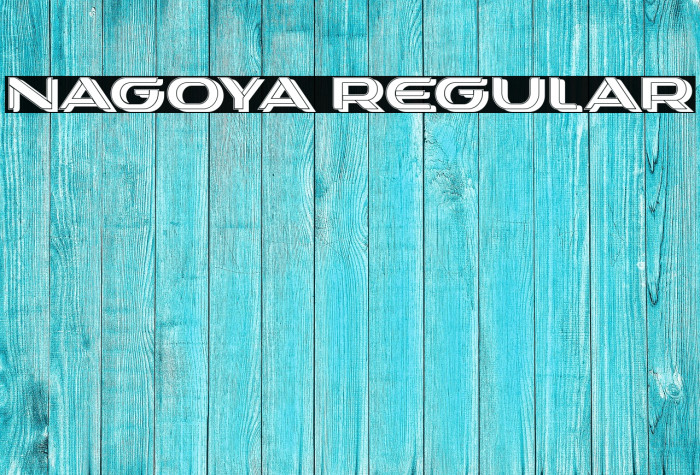 Nagoya Regular Example 2