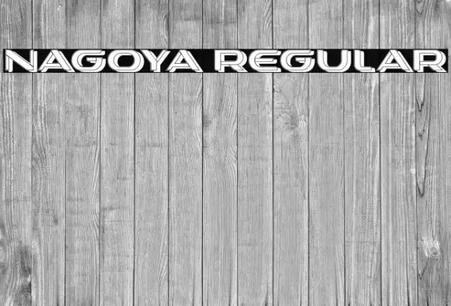 Nagoya Regular Example 2