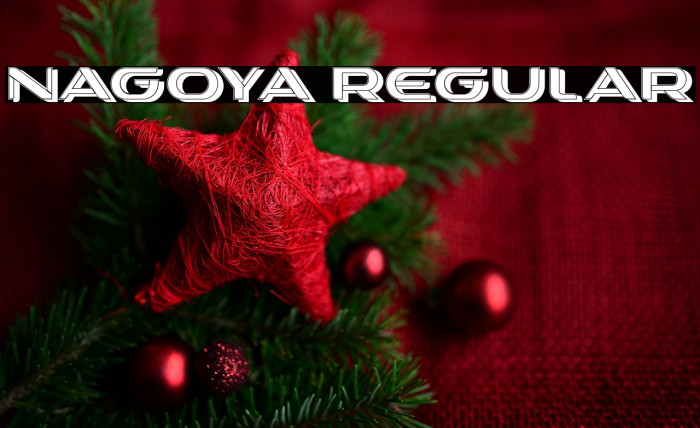 Nagoya Regular Example 3