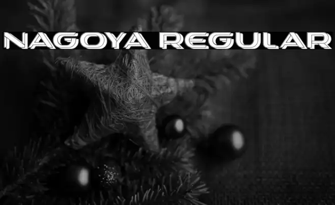 Nagoya Regular Example 3