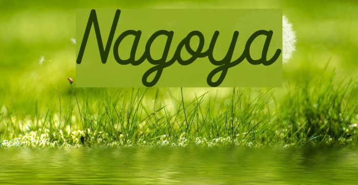 Nagoya Font examples
