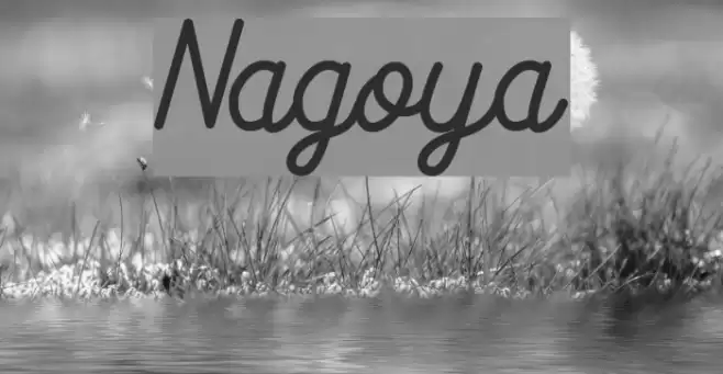 Nagoya Font examples