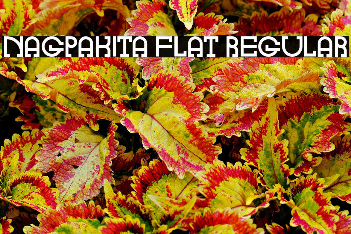 Nagpakita Flat Regular Example 1