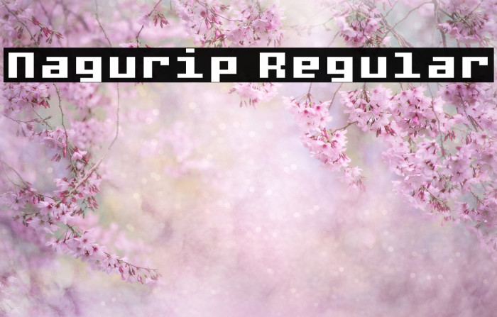 Nagurip Regular Font examples
