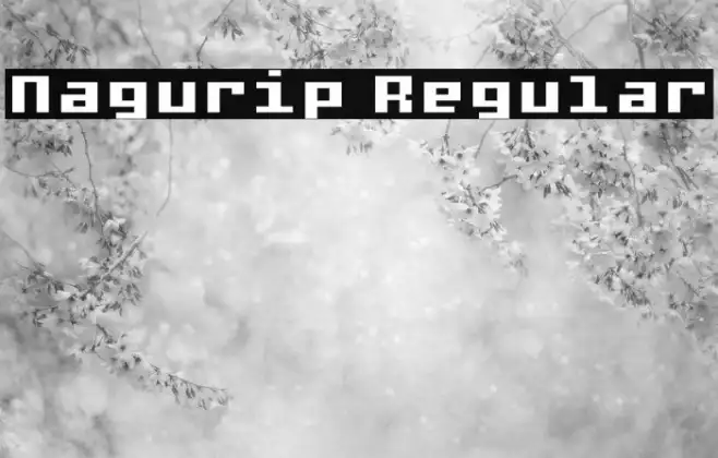 Nagurip Regular Example 1