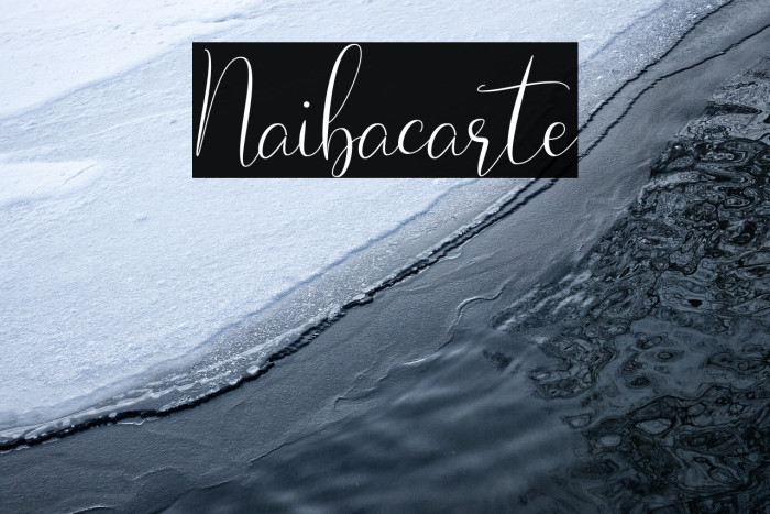 Naibacarte Example 2