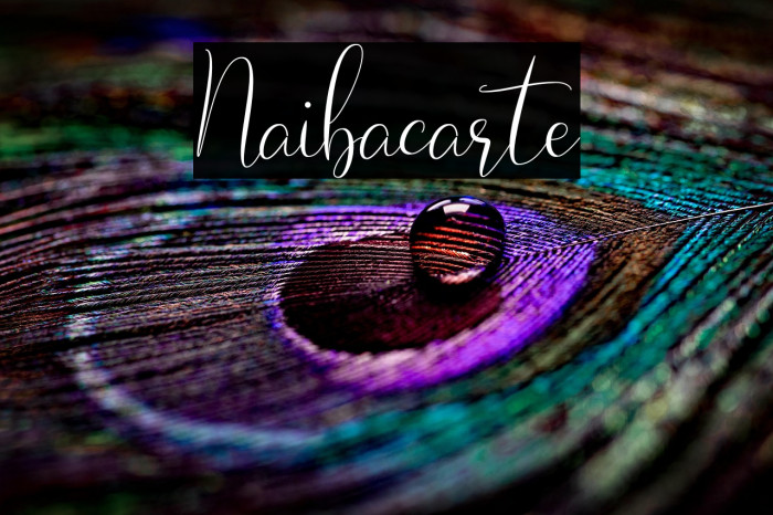 Naibacarte Example 3