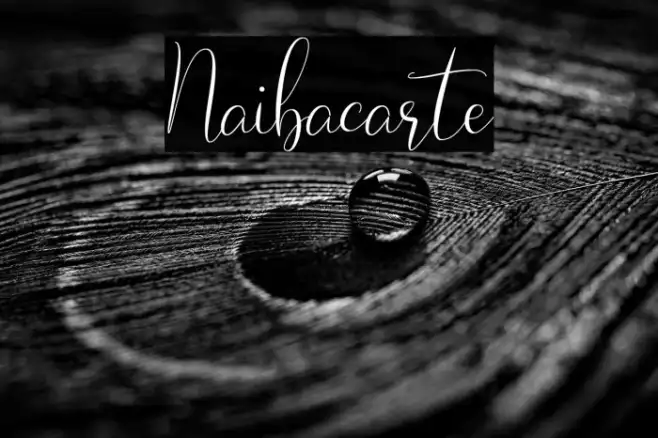 Naibacarte Example 3
