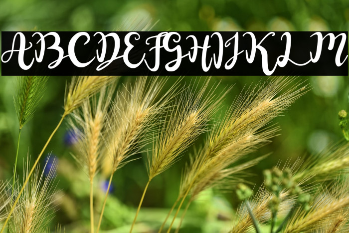 Naifah Handwriting Example 1