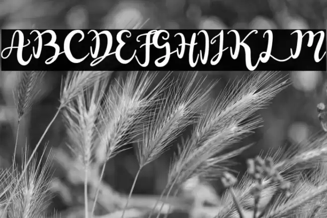 Naifah Handwriting Font examples