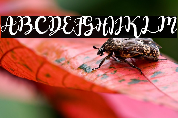 Naifah Handwriting Example 3