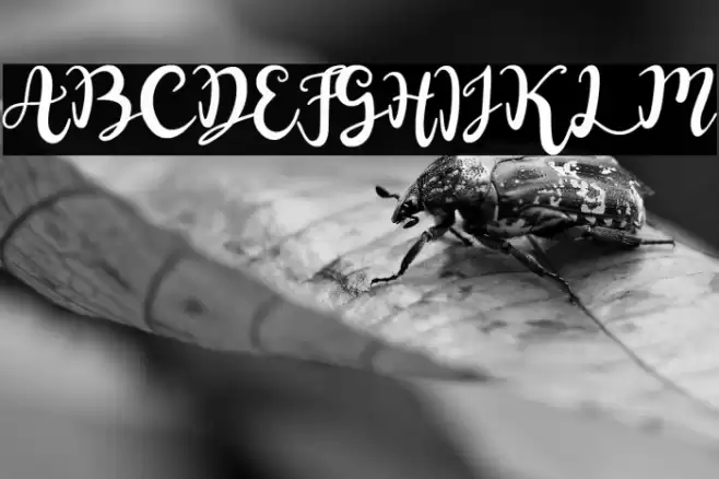 Naifah Handwriting Font examples