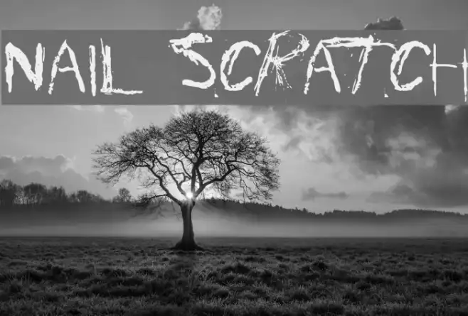Nail Scratch Example 2
