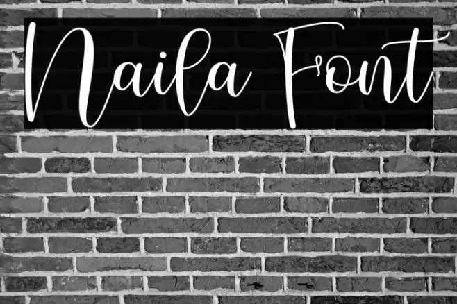 Naila Font examples