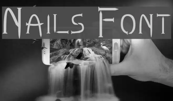 Nails Fonte examples