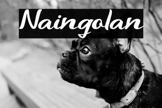 Naingolan Font examples