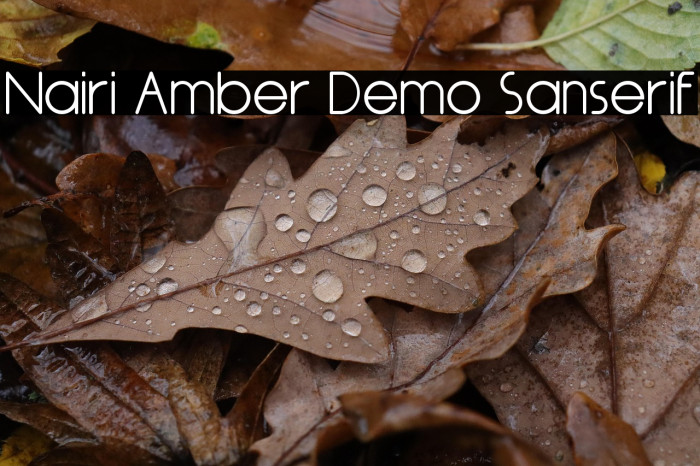 Nairi Amber Demo Sanserif Example 1