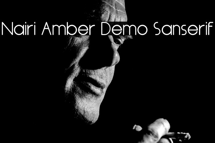 Nairi Amber Demo Sanserif Example 2