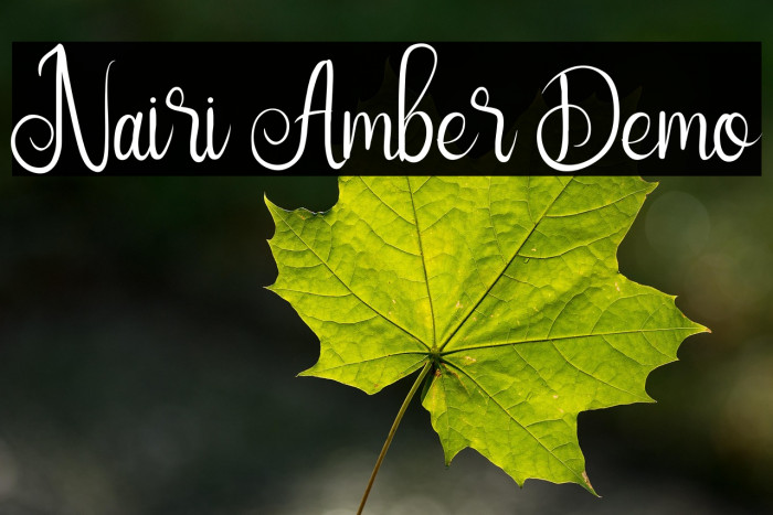 Nairi Amber Demo Example 1