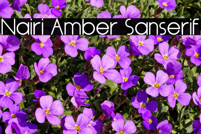 Nairi Amber Sanserif Font examples