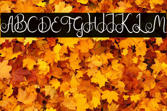 Nairi Amber Example 1