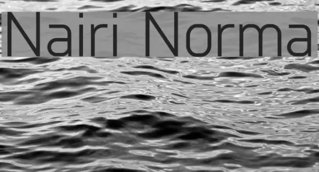 Nairi Normal Example 2