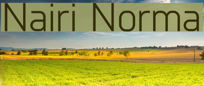 Nairi Normal Font examples