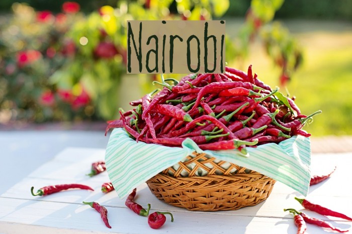Nairobi Font examples