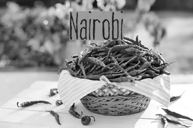 Nairobi Example 1