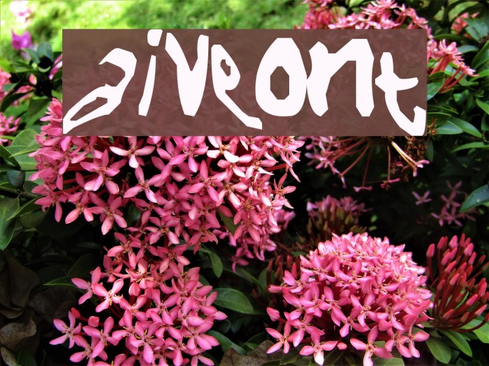 NaiveFont Font examples