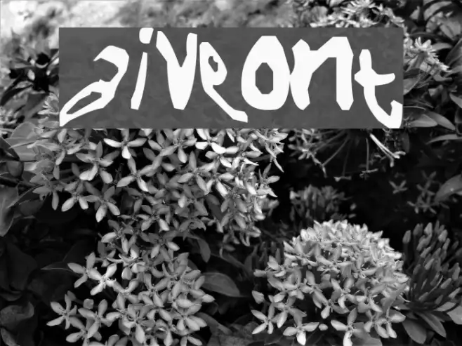 NaiveFont Example 1
