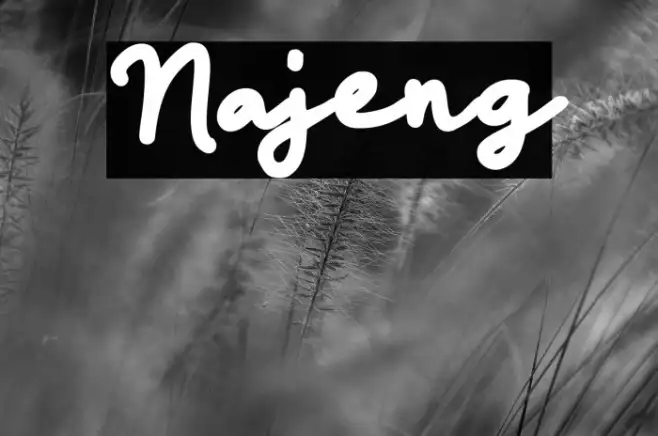 Najeng Example 3