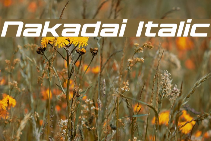 Nakadai Italic Font examples