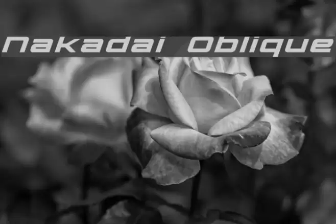 Nakadai Oblique Font examples