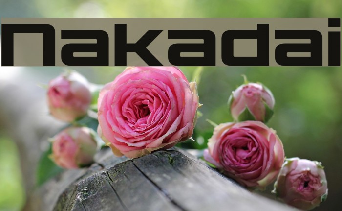 Nakadai फ़ॉन्ट examples