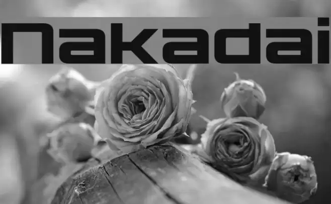 Nakadai Font examples