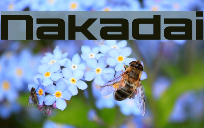 Nakadai फ़ॉन्ट examples