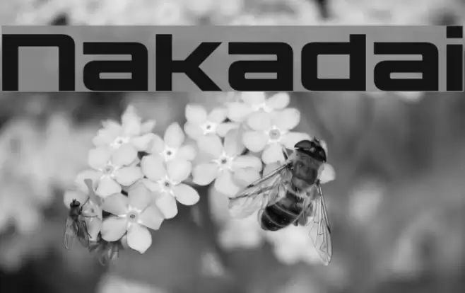 Nakadai Font examples