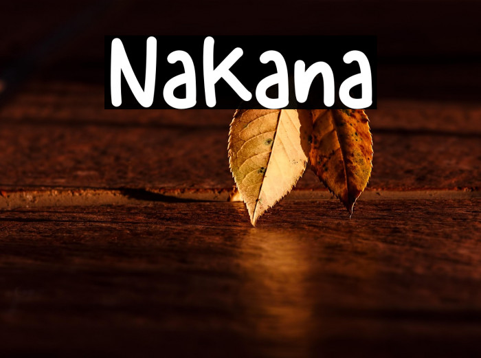 Nakana Example 1