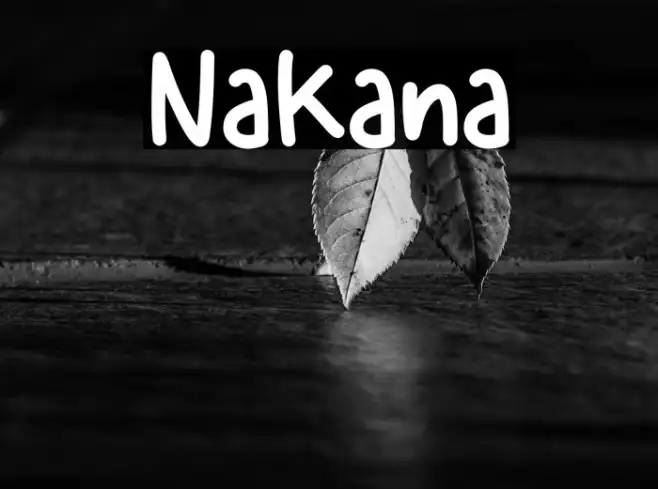 Nakana Example 1