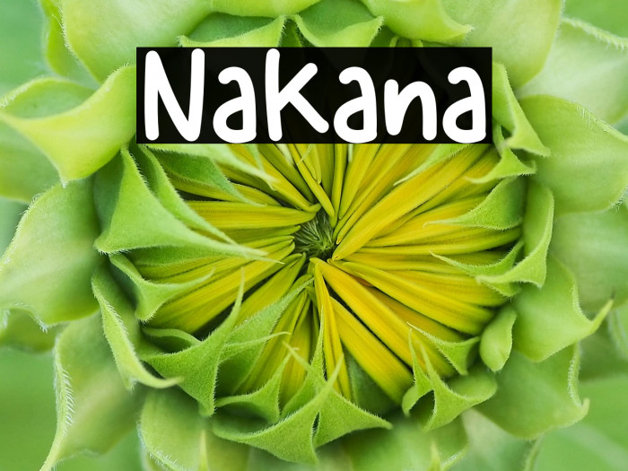 Nakana Example 3