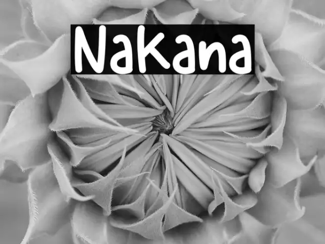 Nakana Example 3