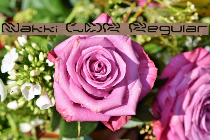 Nakki LDR Regular Example 1