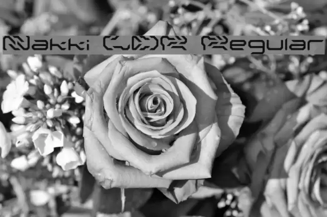 Nakki LDR Regular Font examples