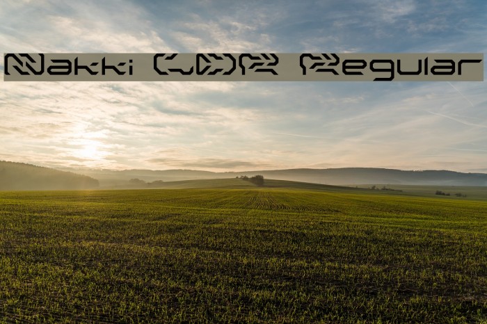 Nakki LDR Regular Example 3