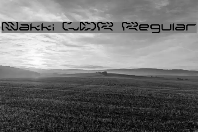 Nakki LDR Regular Font examples