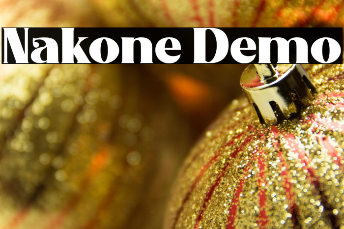 Nakone Demo Example 1