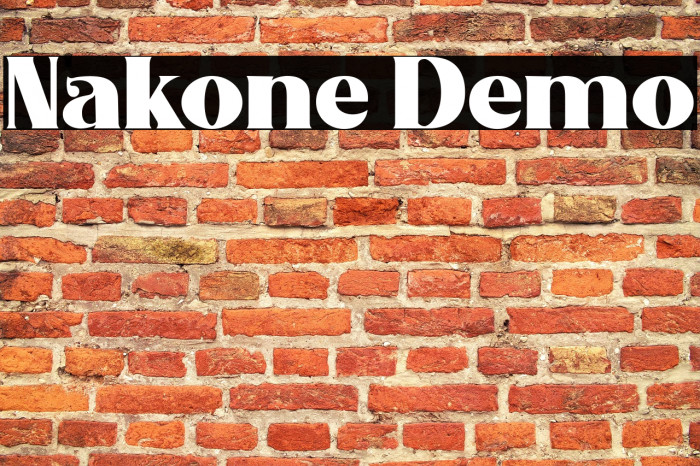 Nakone Demo Example 2