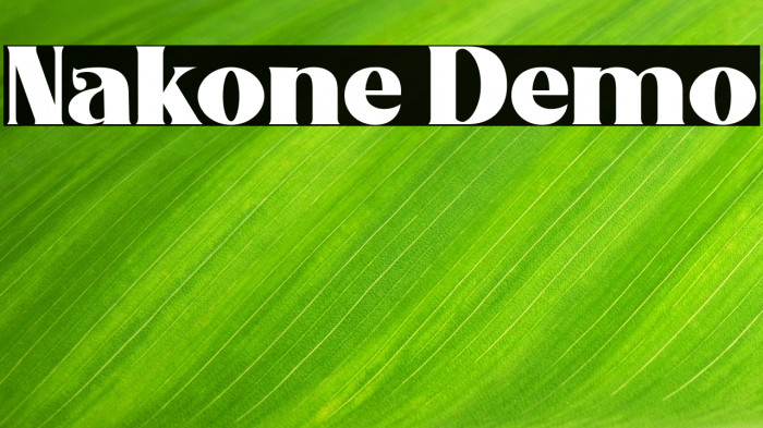 Nakone Demo Example 3