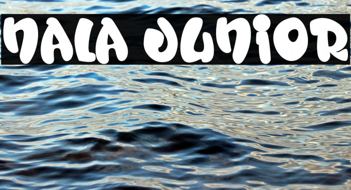 Nala Junior Example 1